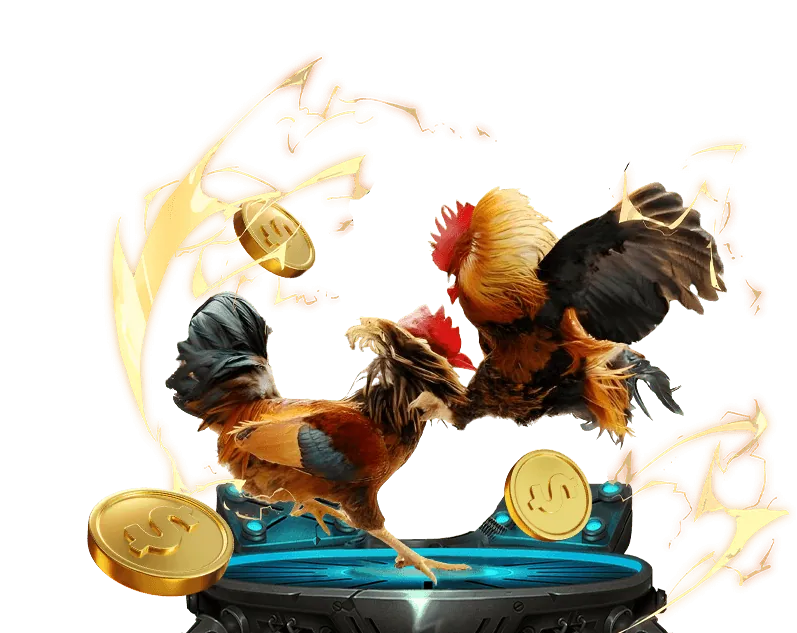 Chăm sóc khách hàng 24/7